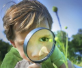 Masterclass Kinderalimentatie
