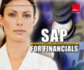 Training SAP voor Financials